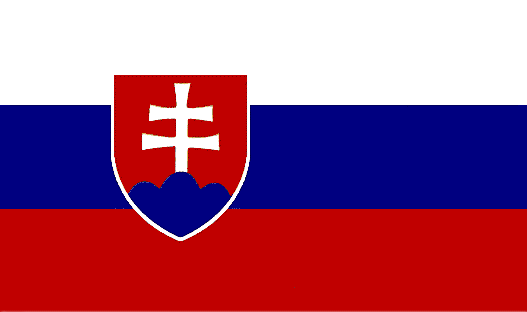 Systemic Solutions Slovakia