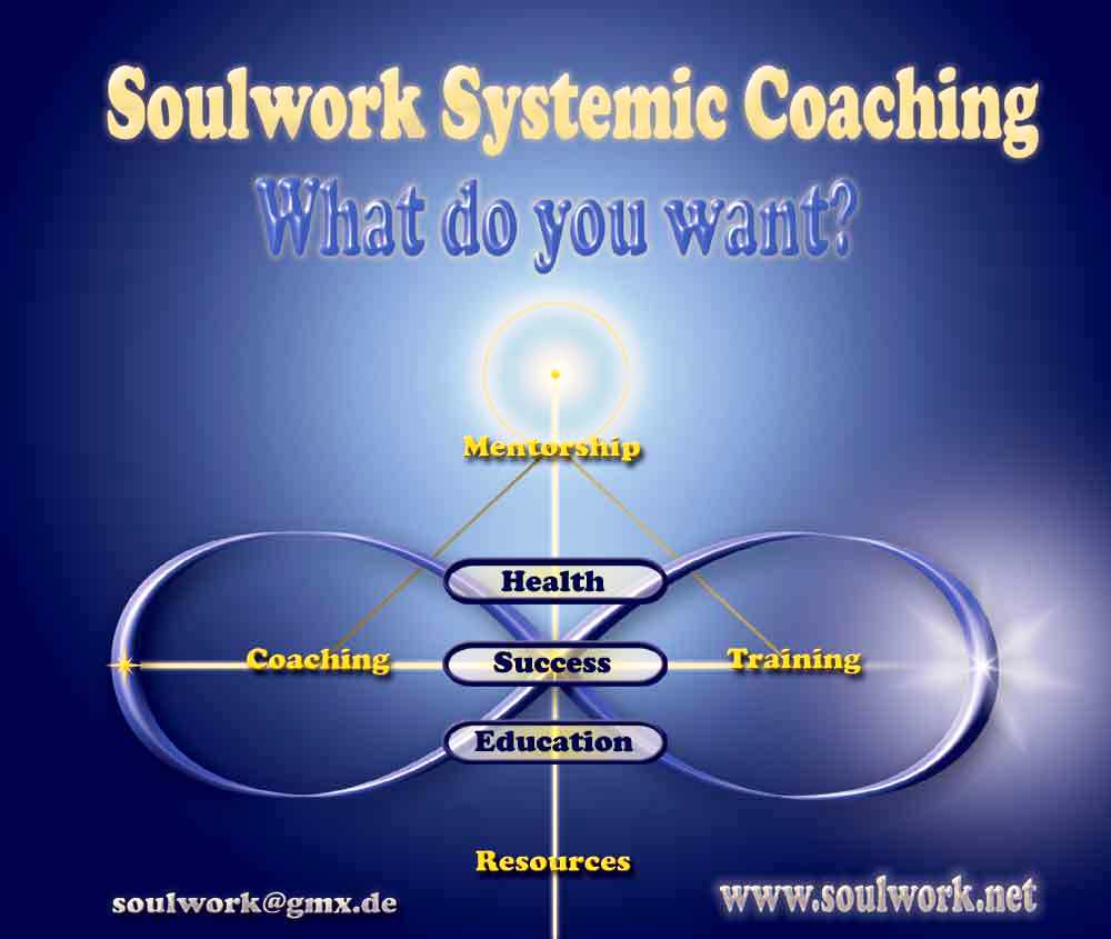 Martyn Carruthers Kosjenka Muk: Systemic Coach Training
